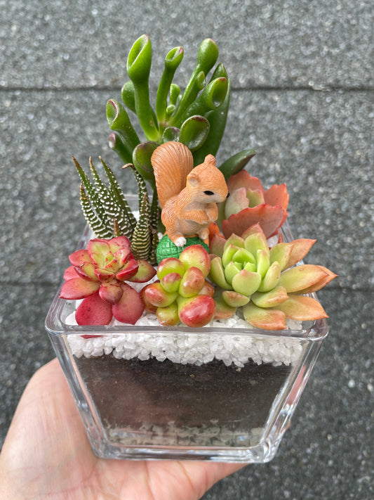 Squirrel & Succulents: My Latest Creation