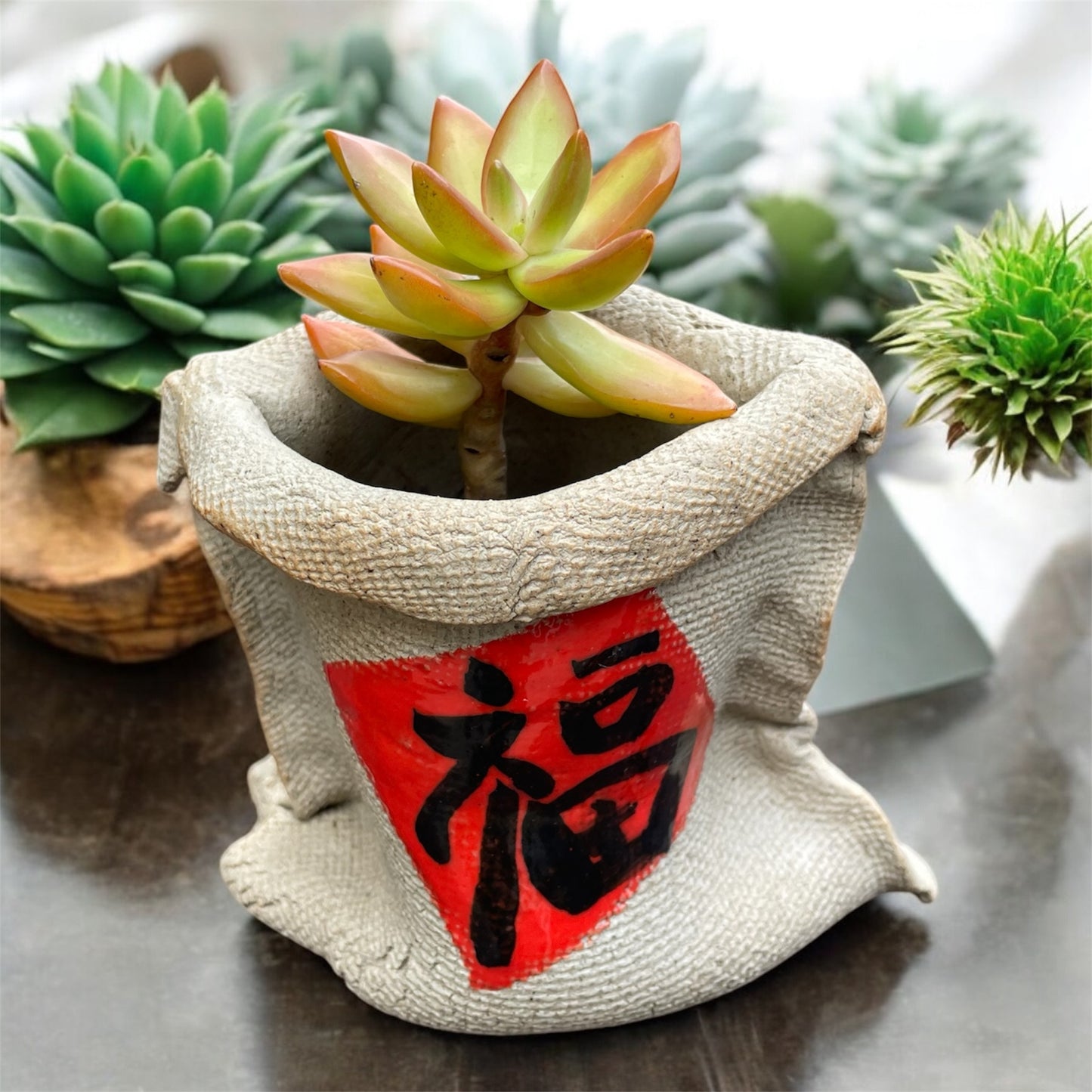 Lucky Fortune Bag Ceramic Succulent Pot – Handcrafted with 福 (Fortune) Character