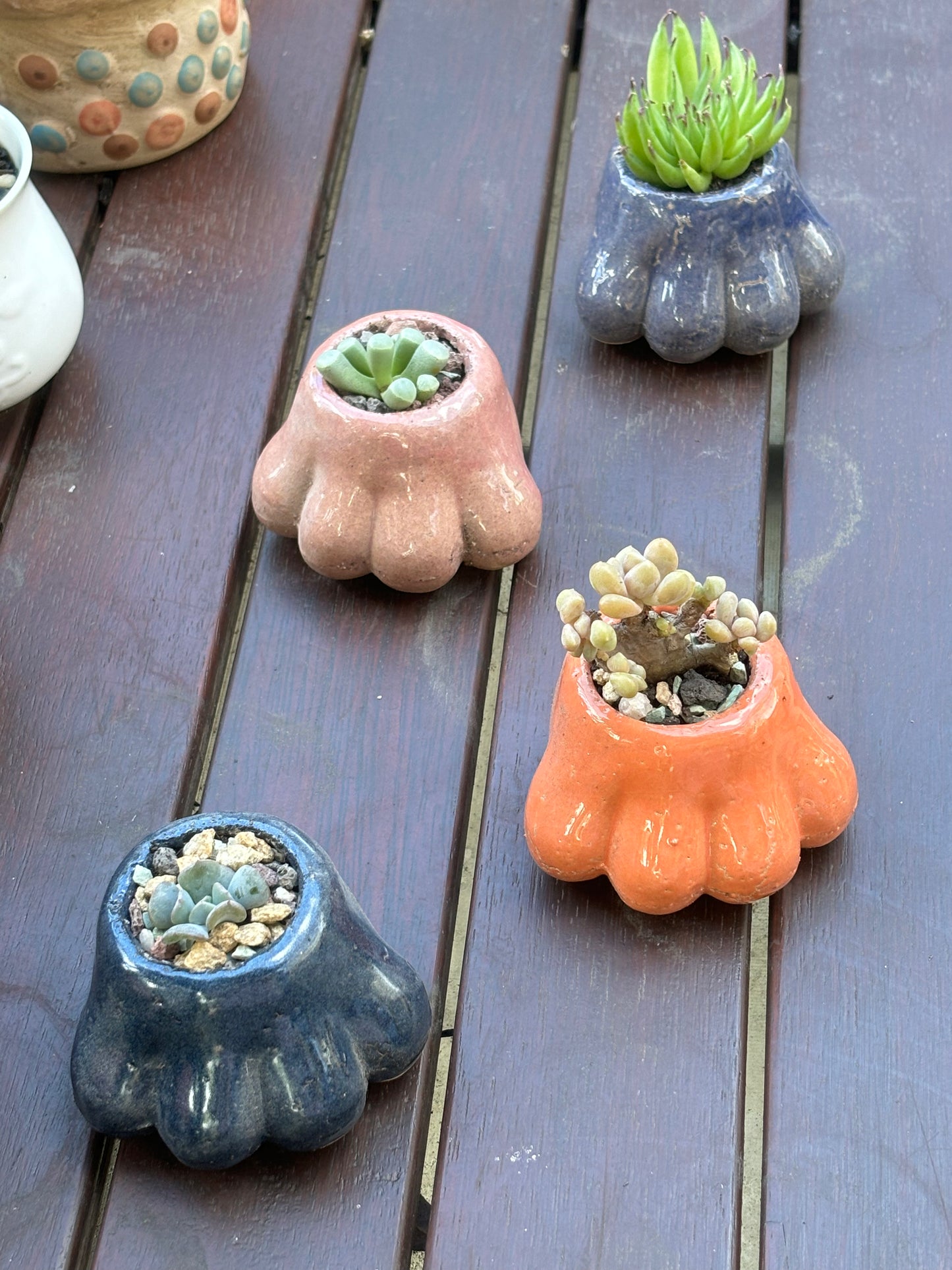 Mini Paw-Shaped Pots