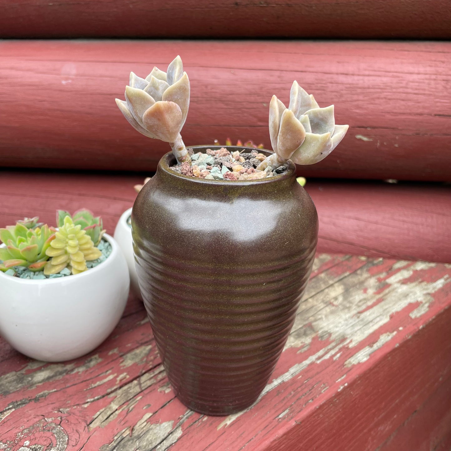 Ceramic Succulent Pot Set with Drainage Hole – 4 Pots