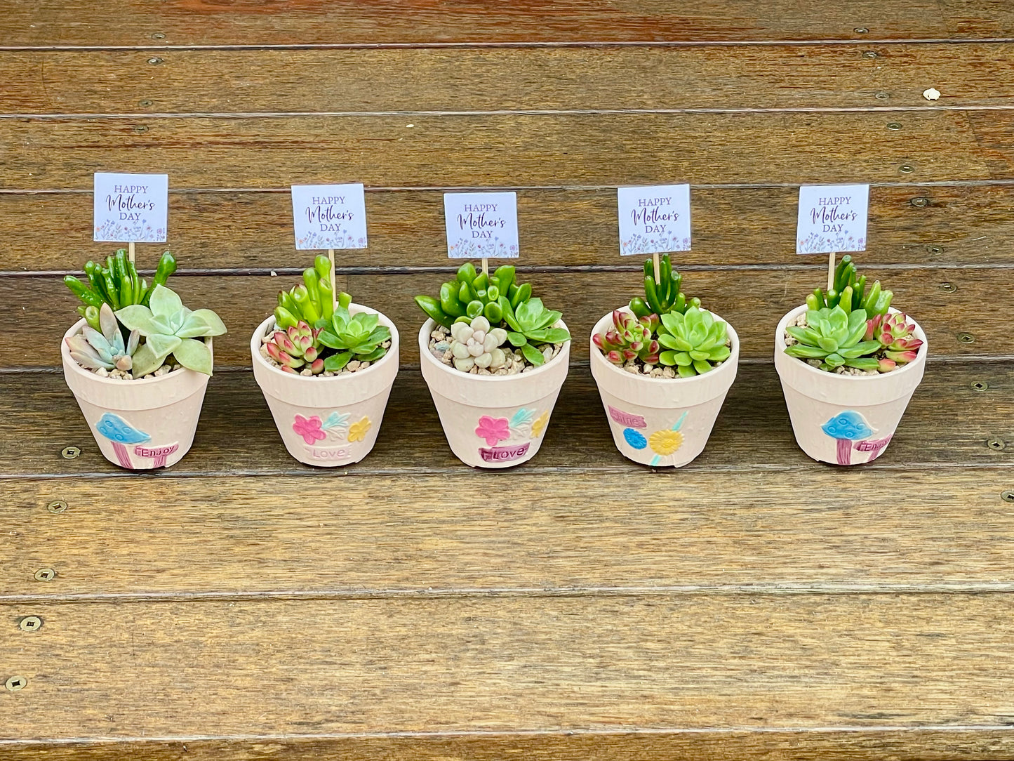 Succulent Favours – Mother's Day Gifts – Succulent Arrangements – Local Pickup Only – Gymea NSW 2227 – Unique Plant Gifts