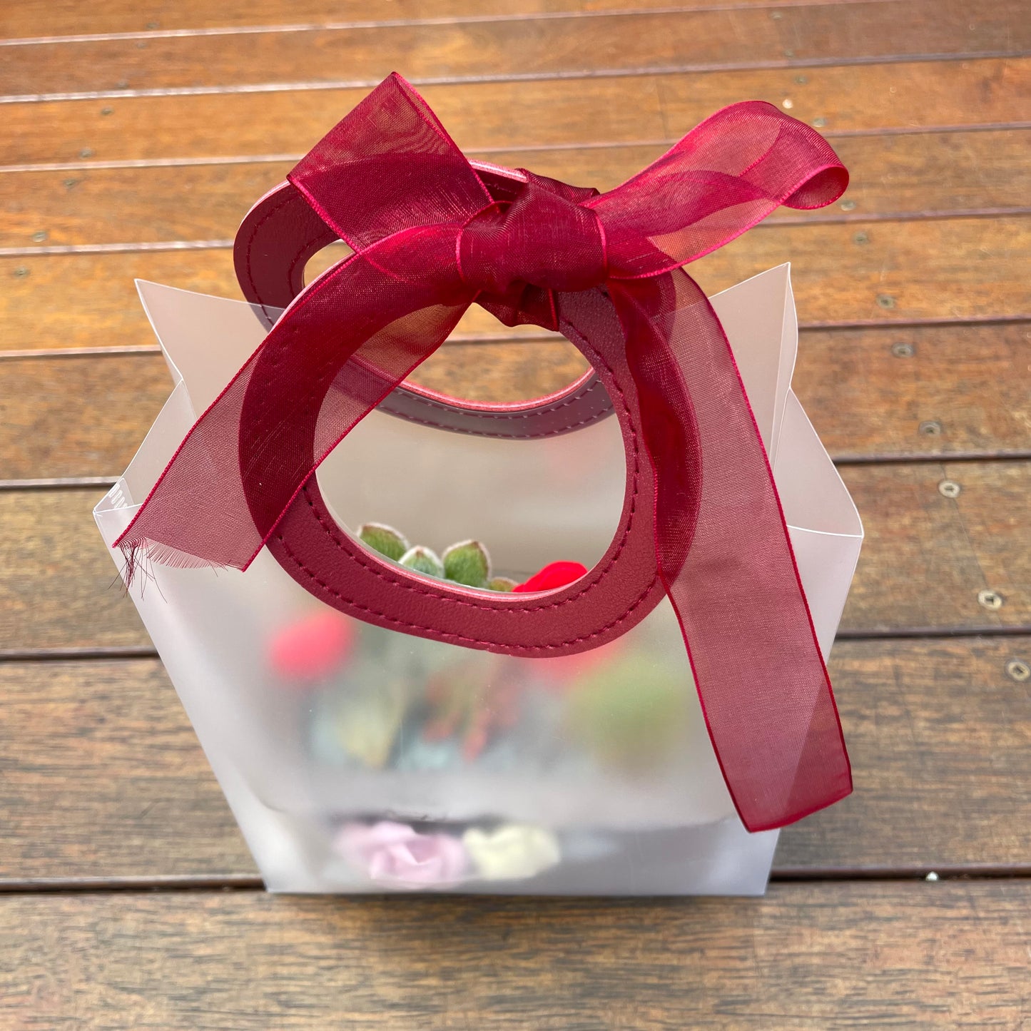 Succulent Gift Arrangement 5 Varieties