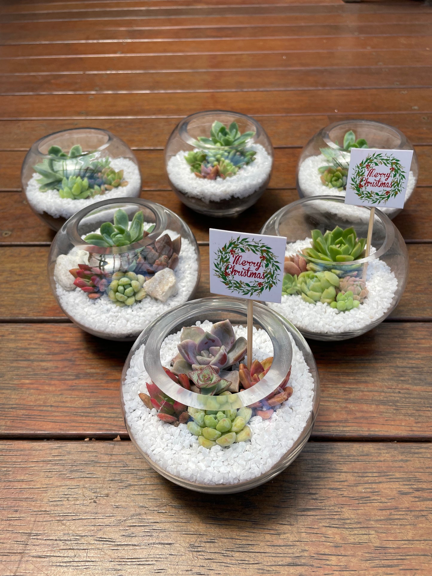 Succulent Favour Round Glass Vase