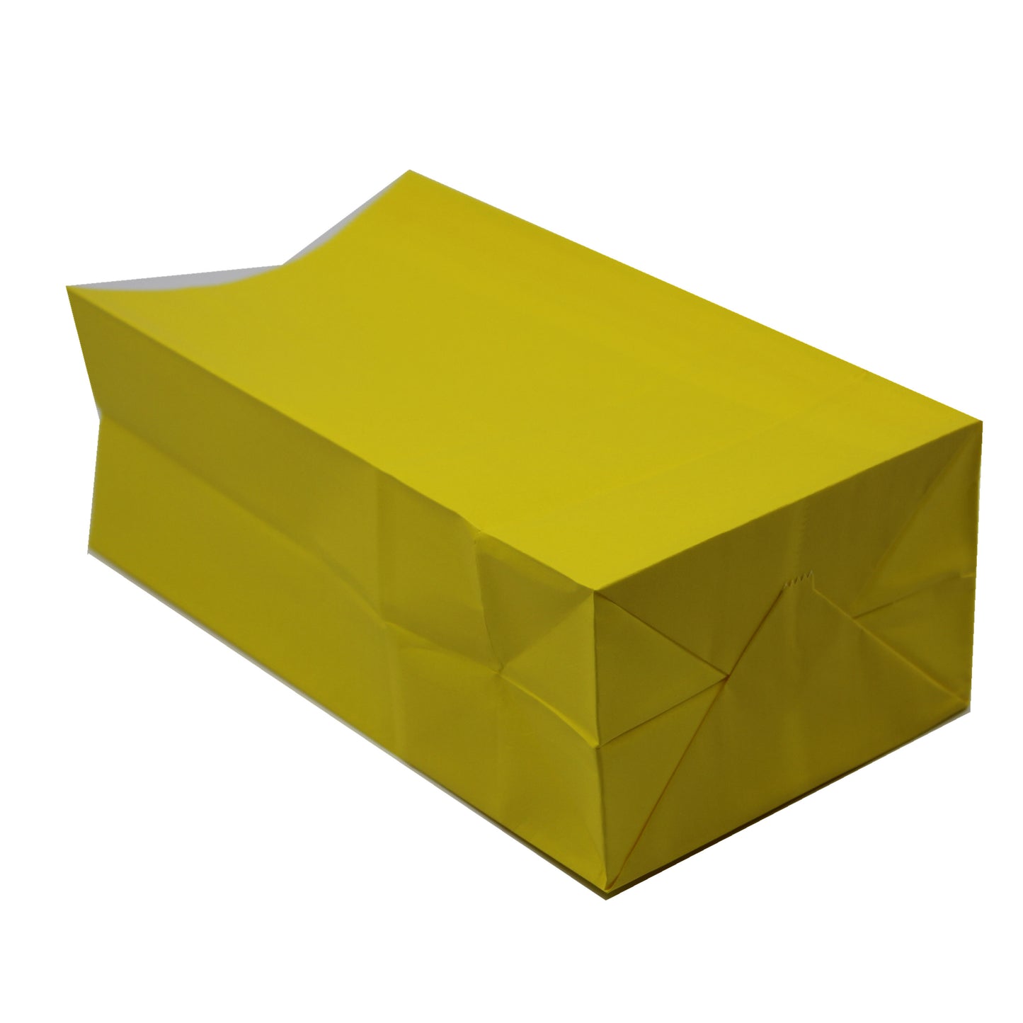 50pcs Paper Gift Bags