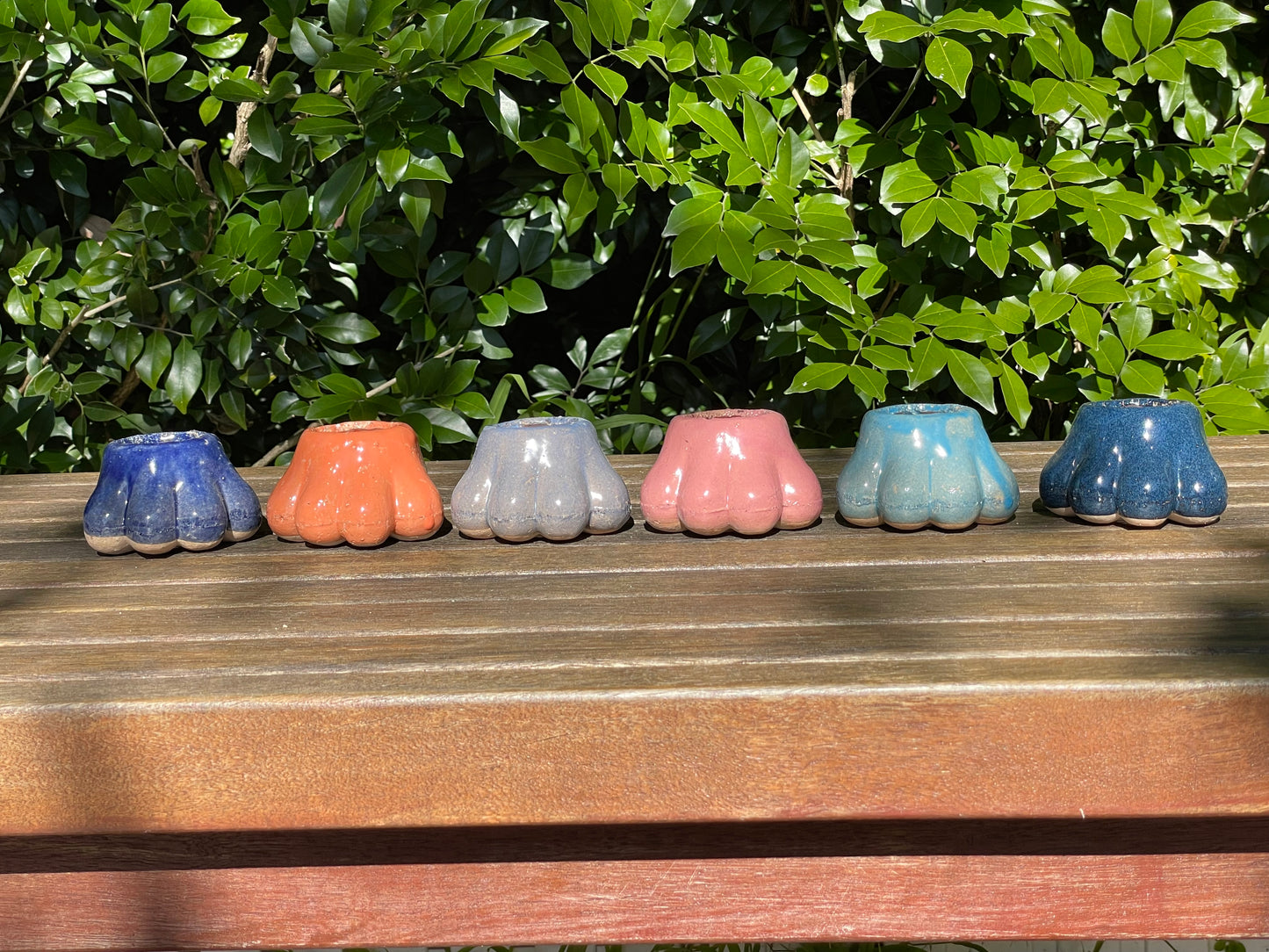Mini Paw-Shaped Pots