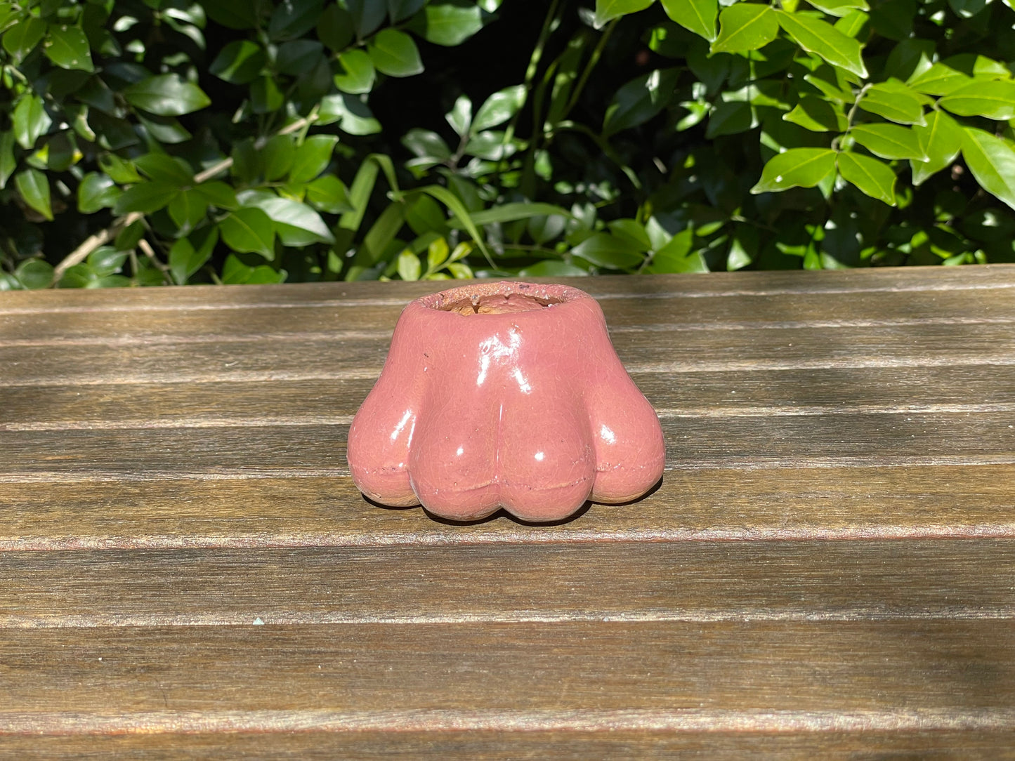 Mini Paw-Shaped Pots