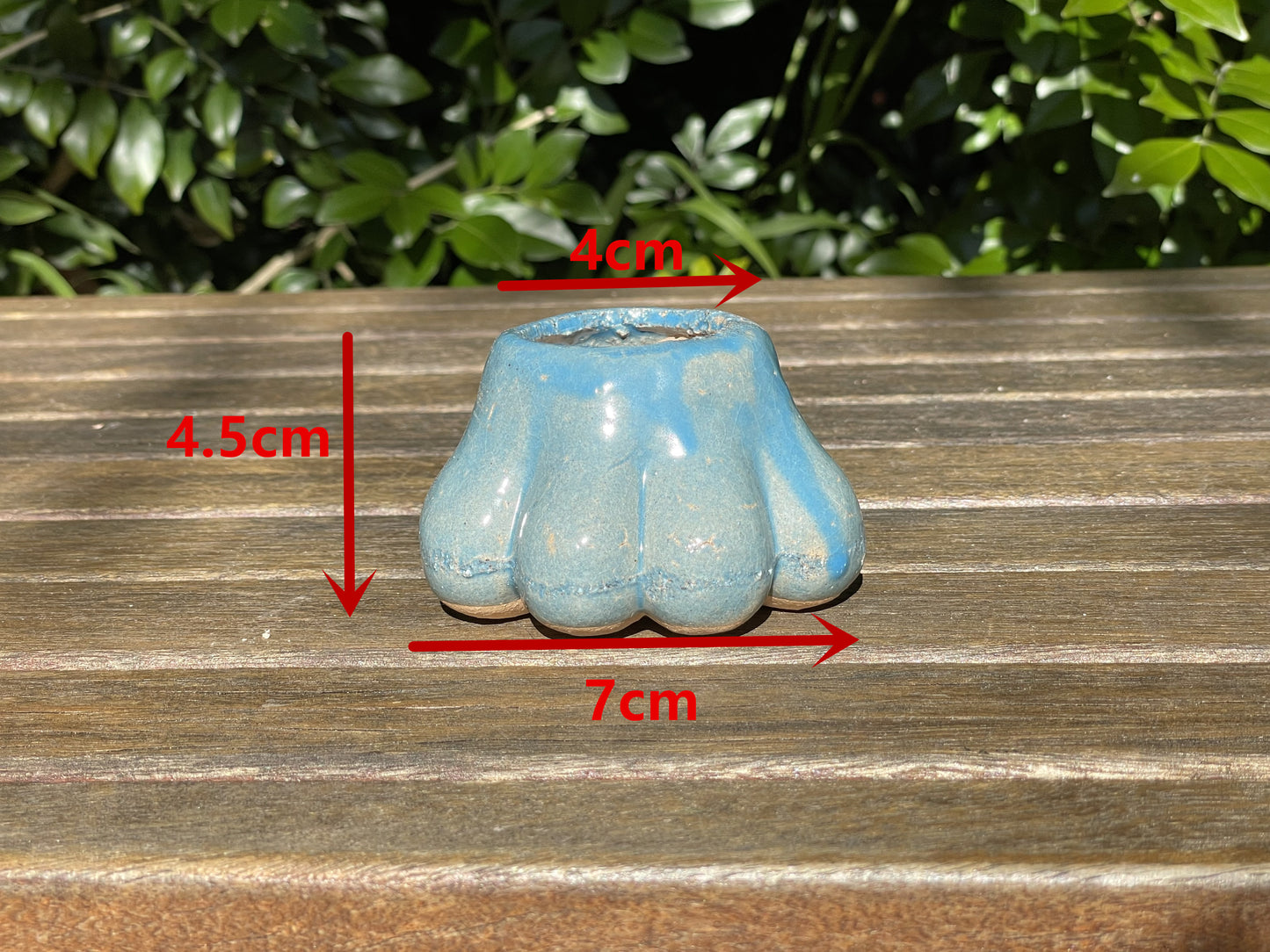Mini Paw-Shaped Pots