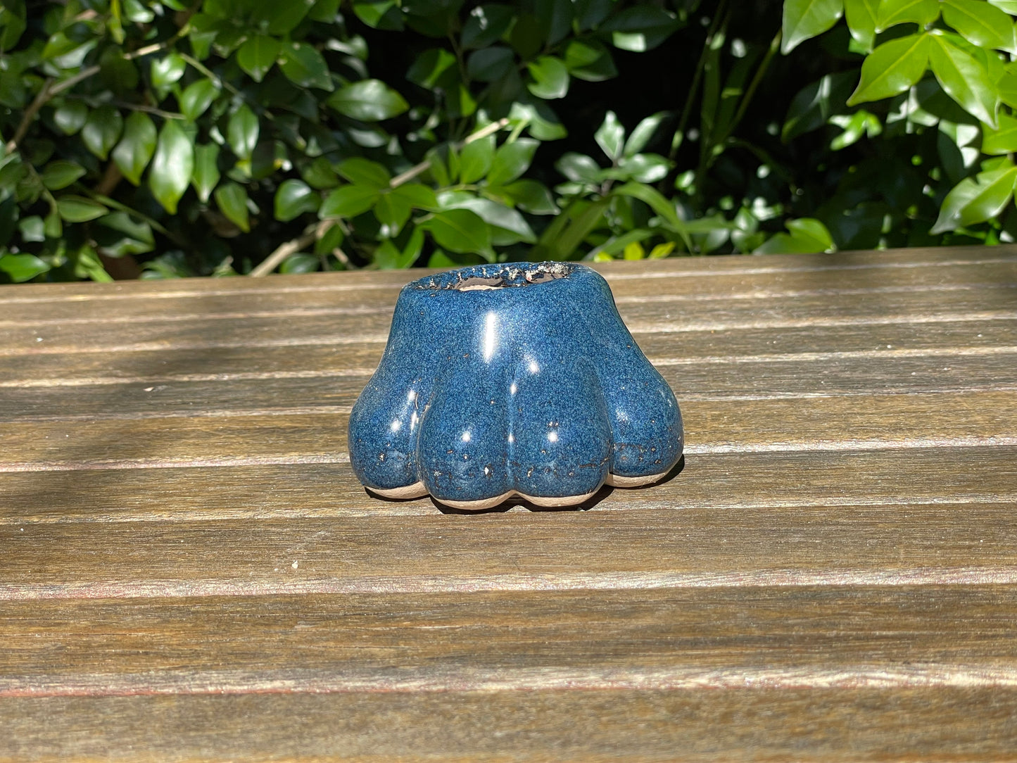 Mini Paw-Shaped Pots