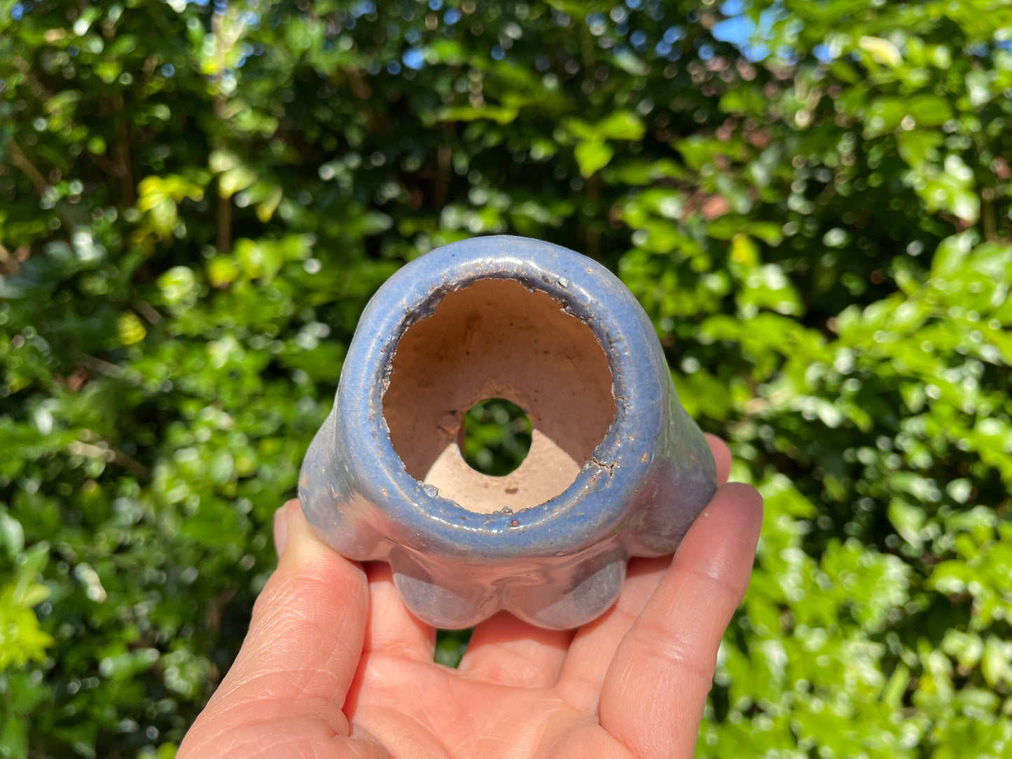 Mini Paw-Shaped Pots