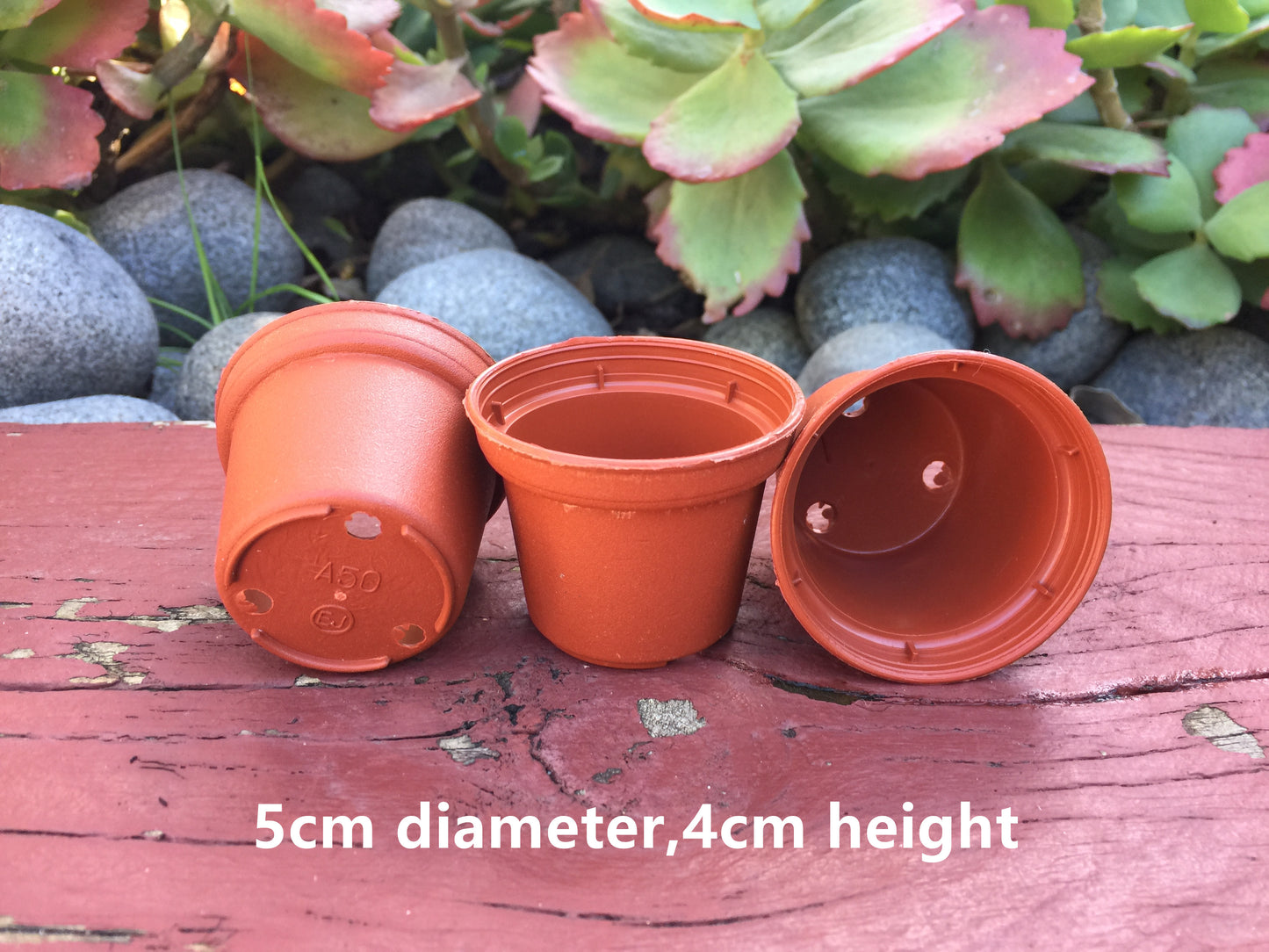 100x Mini Plastic Seeding Pot Thick Round 5cm Diameter Succulent Flower Nursery Seeding Draining Hole