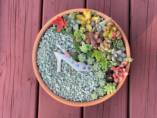 Elegant succulent arrangement