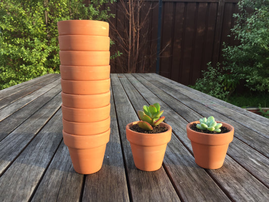 80 Mini Terracotta Pots - Perfect for Succulents, Cacti, and Home/Office Decor - 5.5cm