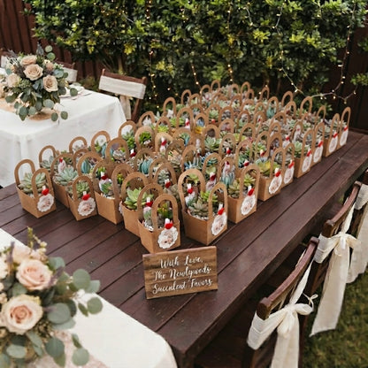 Succulent Wedding Favours, 7cm Terracotta Pot, Kraft Gift Box, Custom Tags, Local Pickup
