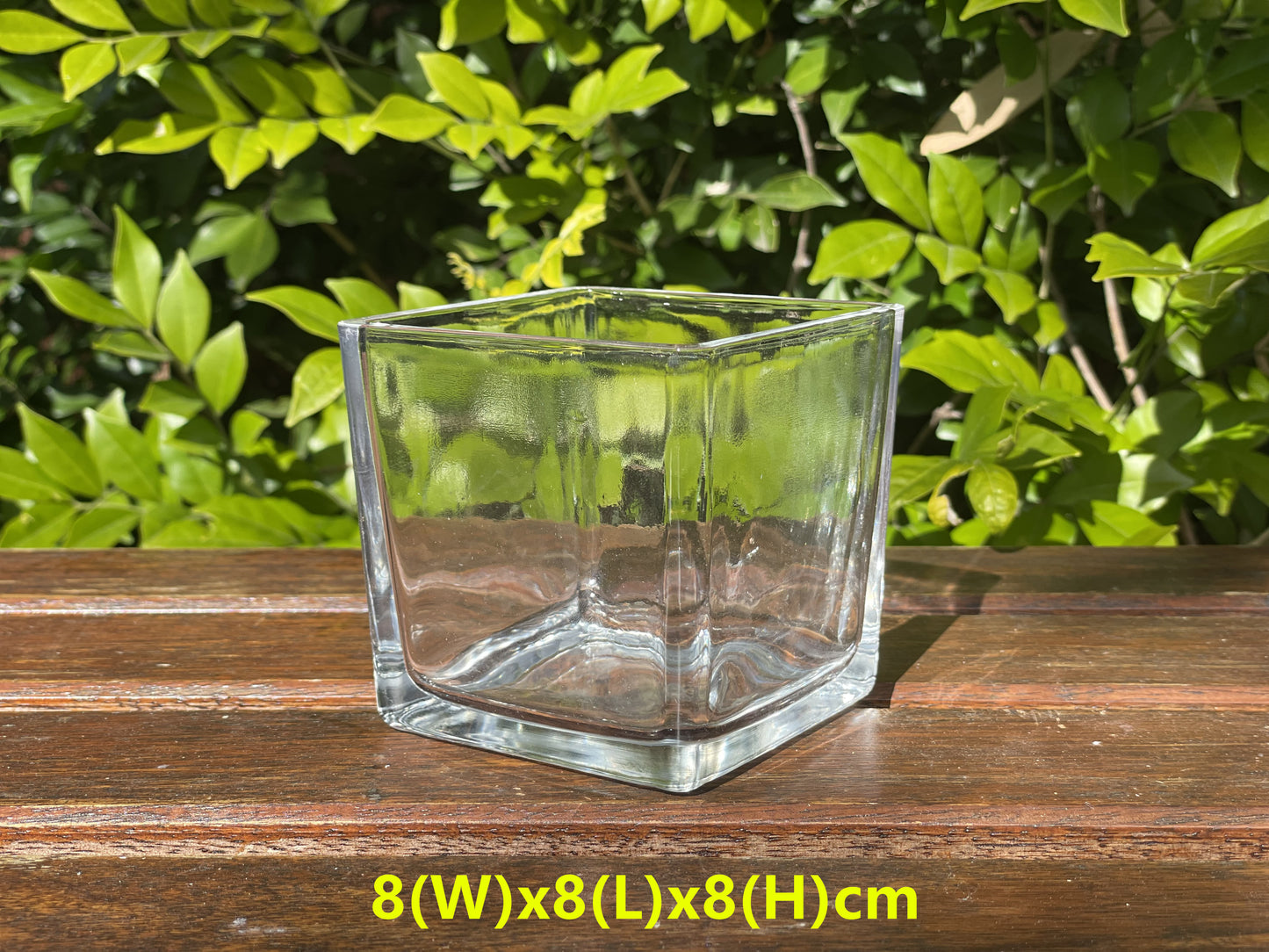 Glass vase candle container terrarium container plant planter fish bowl square