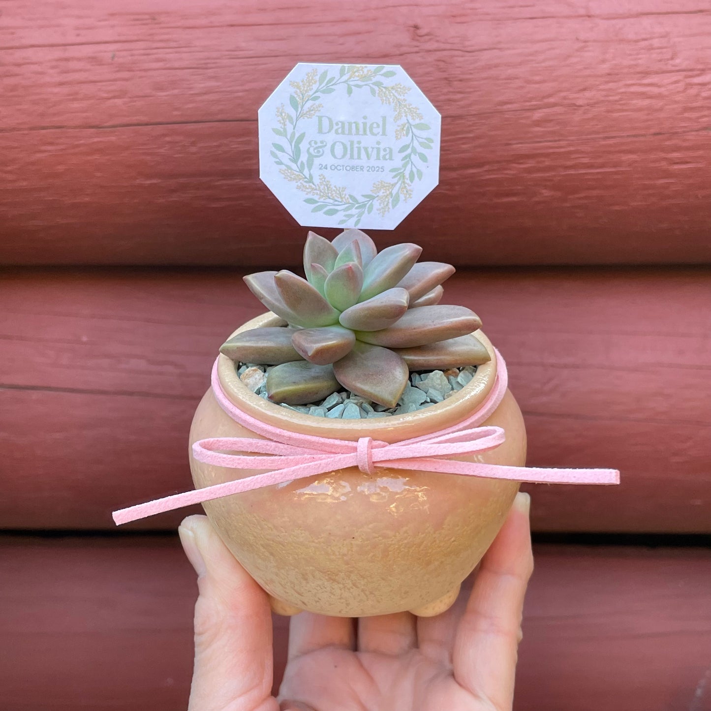 Succulent Wedding Favour