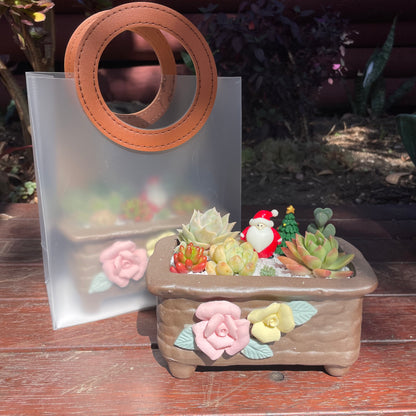 Christmas gift ideas succulent arrangement only local pick up from Gymea NSW 2227
