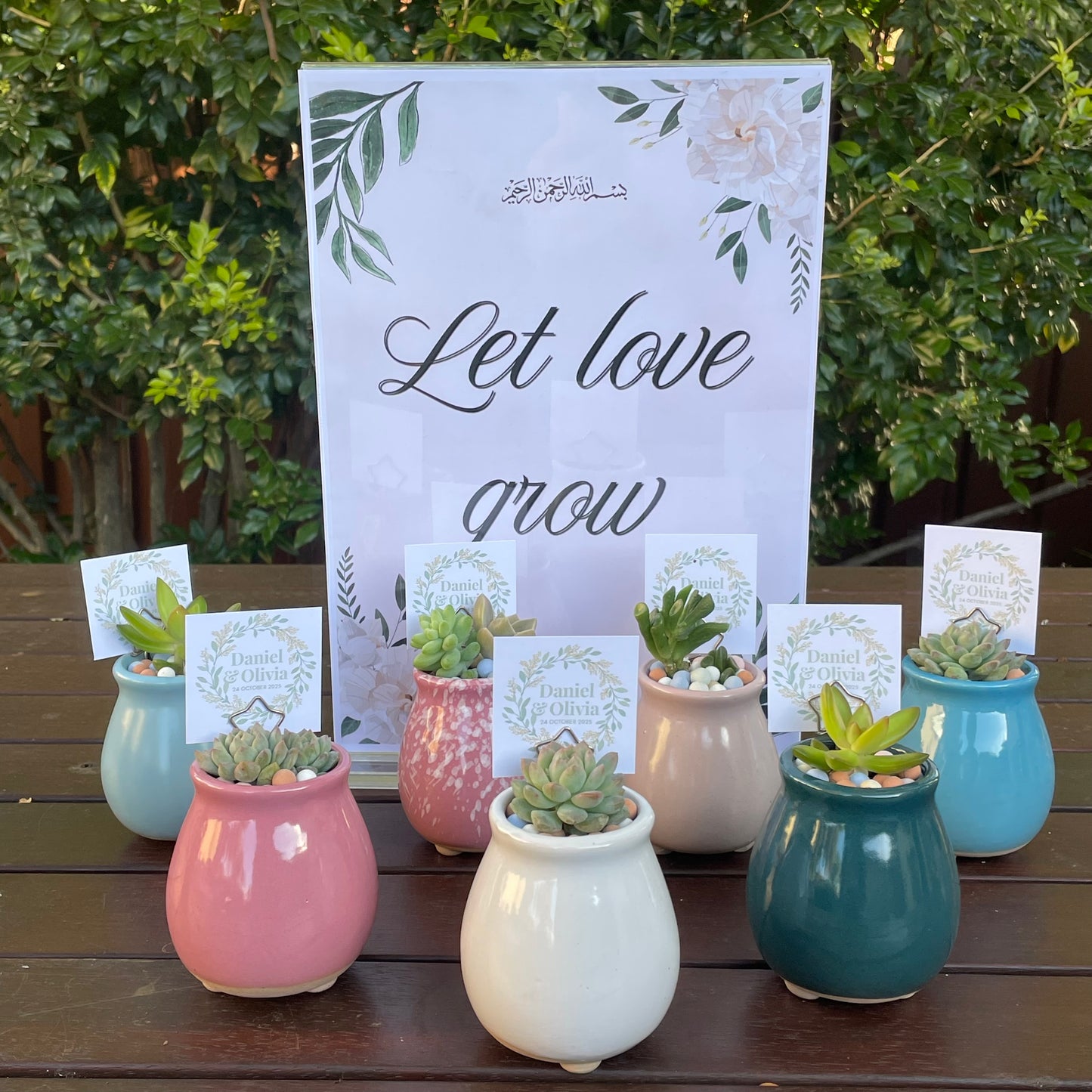 Succulent Wedding Favour Colourful pots