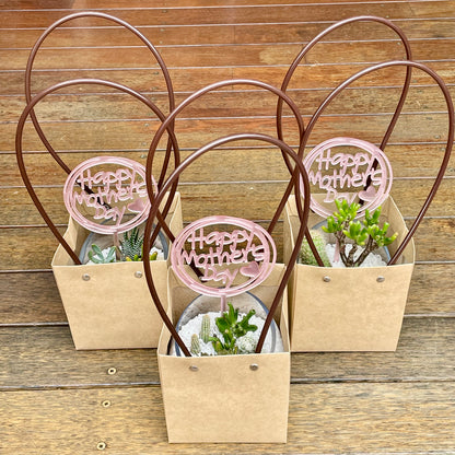 Succulent arrangement  Mother’s Day gift only local pick up from Gymea NSW 2227