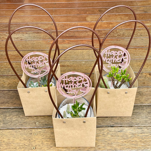 Succulent arrangement  Mother’s Day gift only local pick up from Gymea NSW 2227
