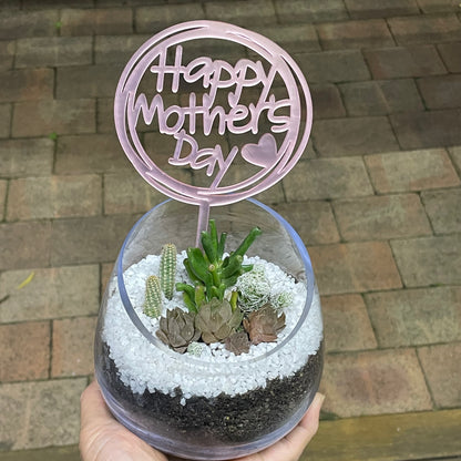 Succulent arrangement  Mother’s Day gift only local pick up from Gymea NSW 2227