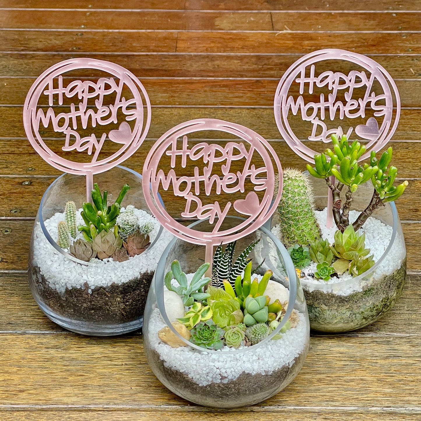 Succulent arrangement  Mother’s Day gift only local pick up from Gymea NSW 2227