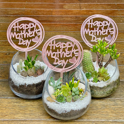 Succulent arrangement  Mother’s Day gift only local pick up from Gymea NSW 2227