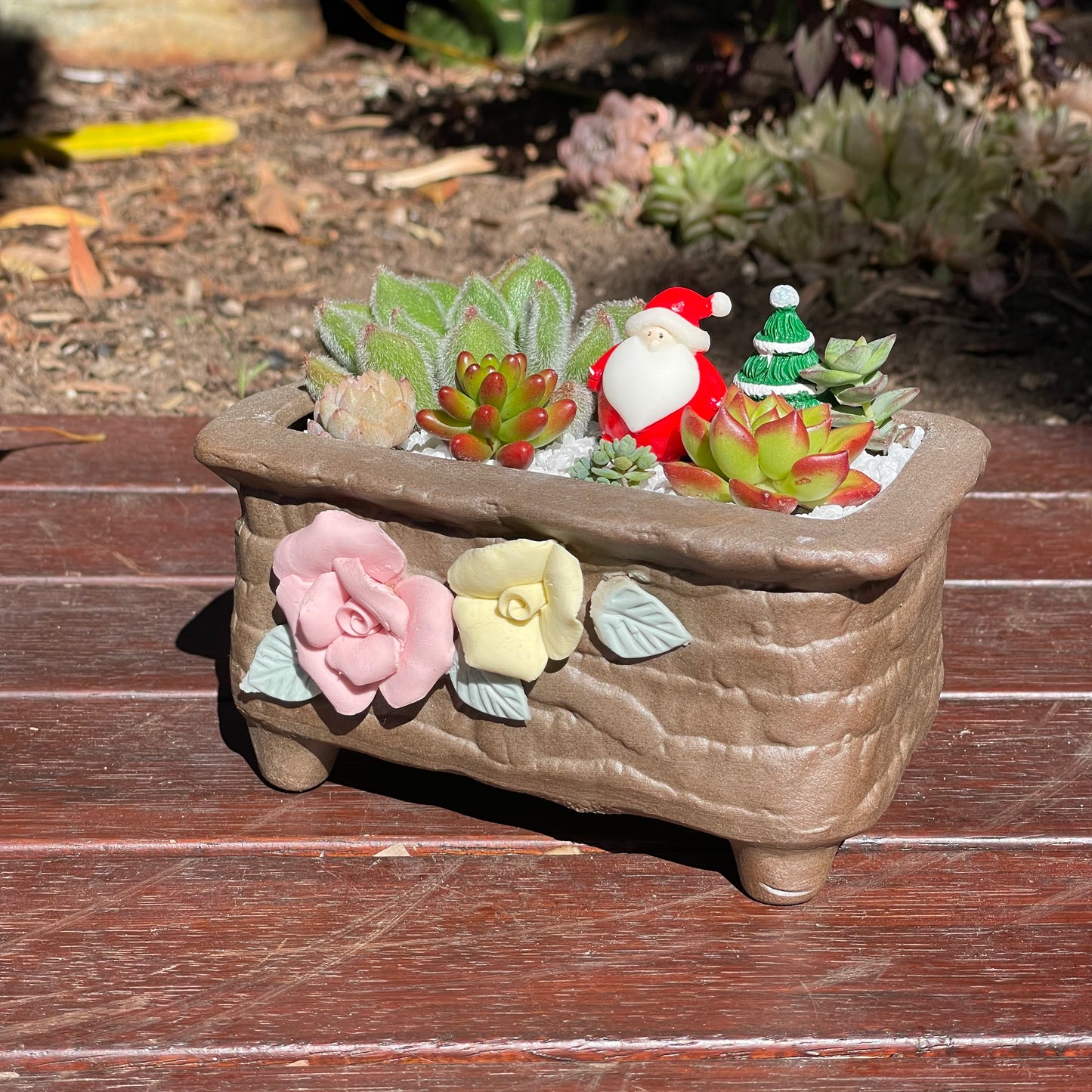 Christmas gift ideas succulent arrangement only local pick up from Gymea NSW 2227