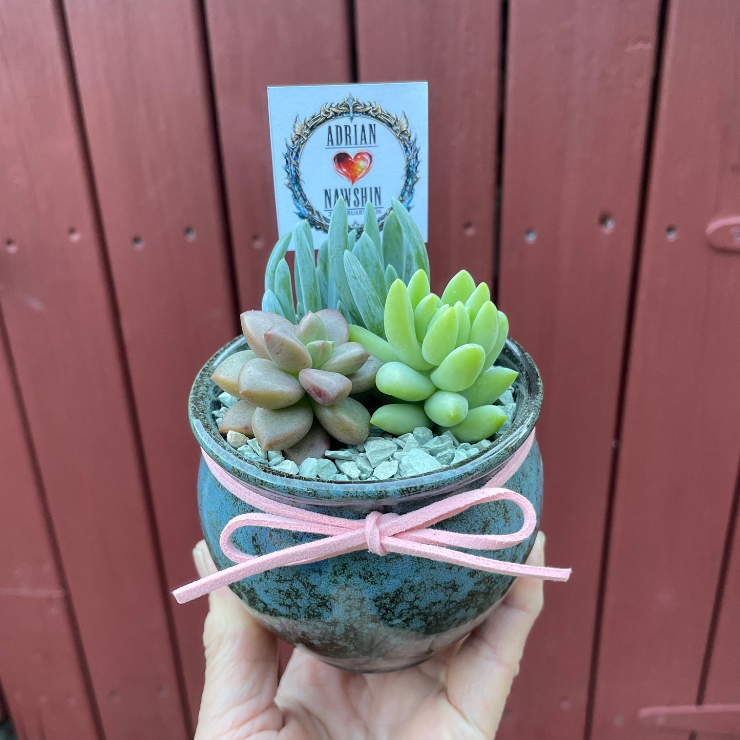 Succulent Wedding Favour Only Local Pickup