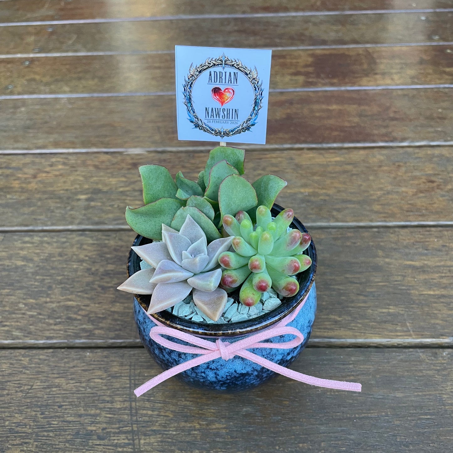 Succulent Wedding Favour Only Local Pickup