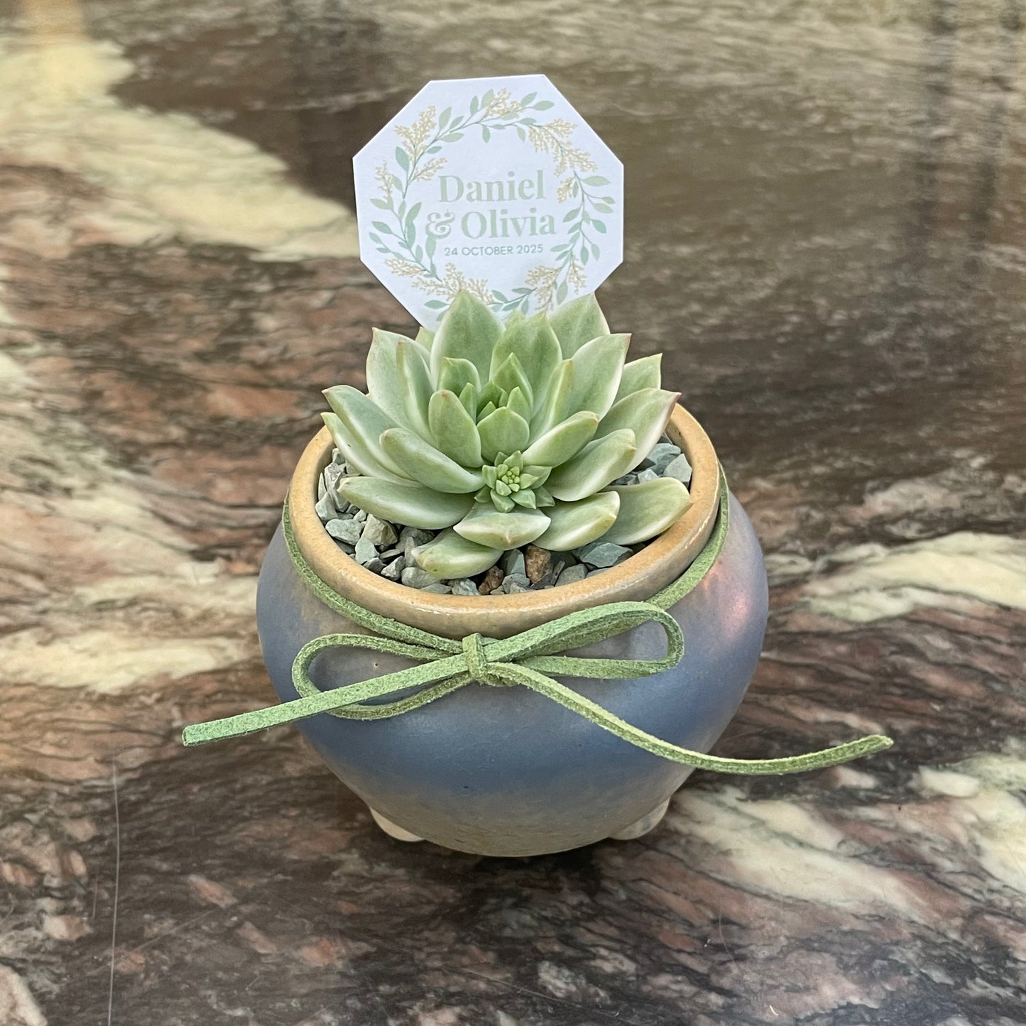 Succulent Wedding Favour