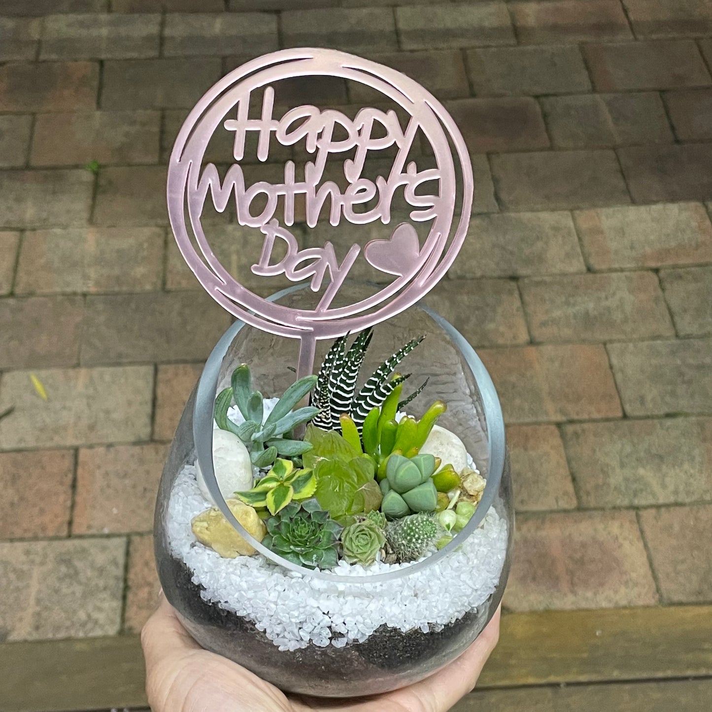 Succulent arrangement  Mother’s Day gift only local pick up from Gymea NSW 2227
