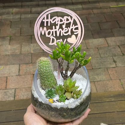 Succulent arrangement  Mother’s Day gift only local pick up from Gymea NSW 2227