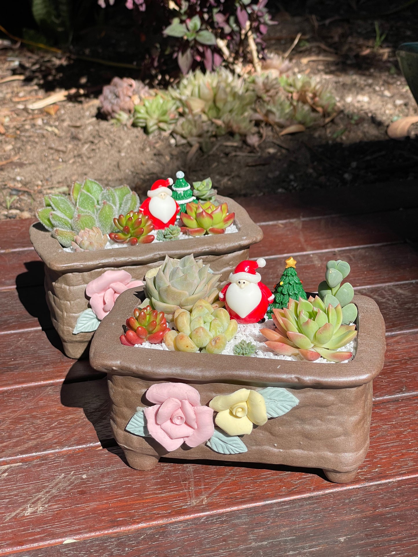 Christmas gift ideas succulent arrangement only local pick up from Gymea NSW 2227