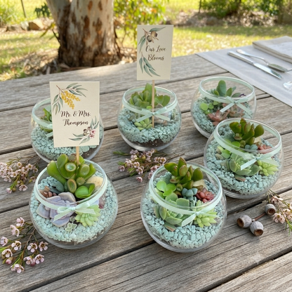 Succulent Favour Round Glass Vase