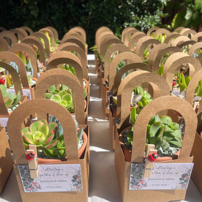 Succulent Wedding Favours, 7cm Terracotta Pot, Kraft Gift Box, Custom Tags, Local Pickup