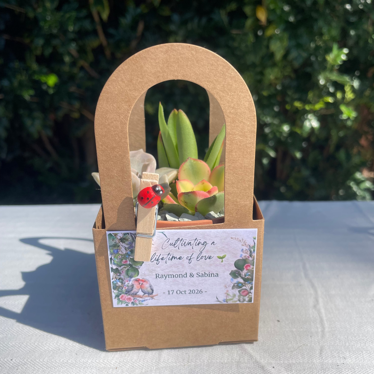 Succulent Wedding Favours, 7cm Terracotta Pot, Kraft Gift Box, Custom Tags, Local Pickup