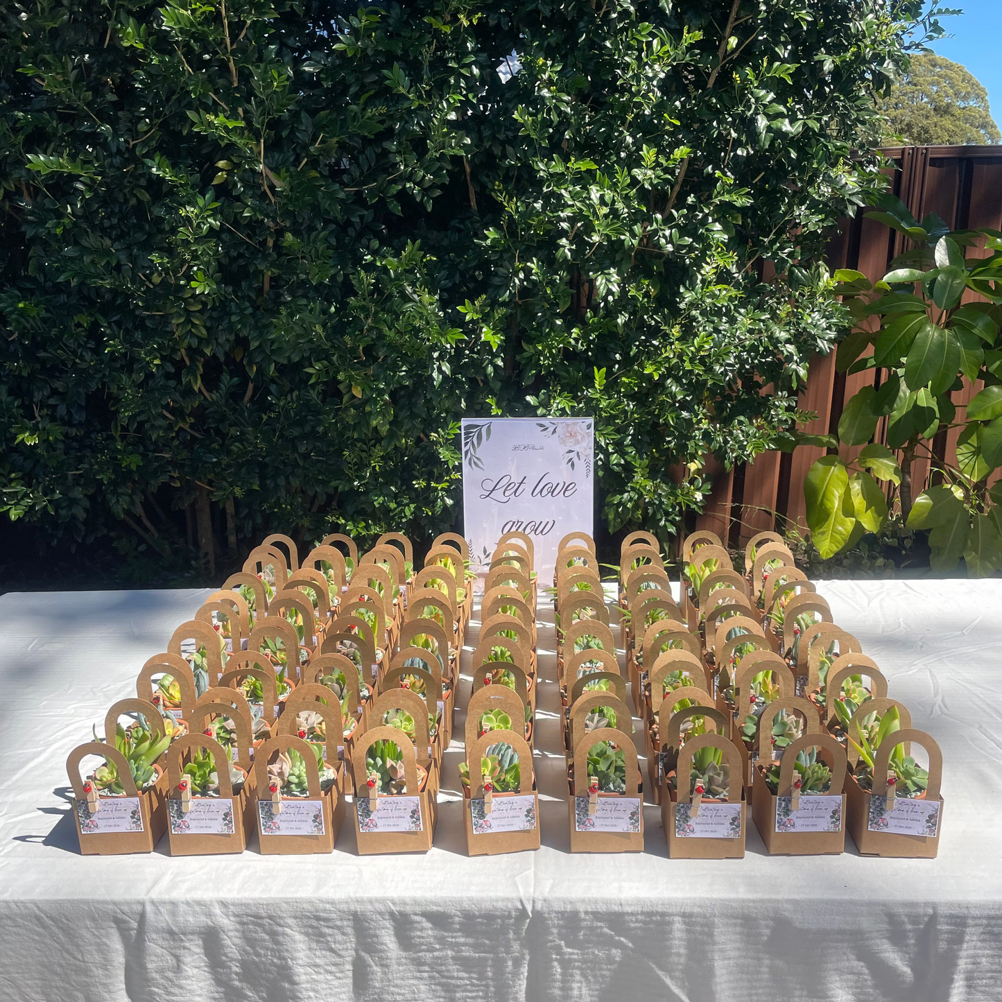 Succulent Wedding Favours, 7cm Terracotta Pot, Kraft Gift Box, Custom Tags, Local Pickup