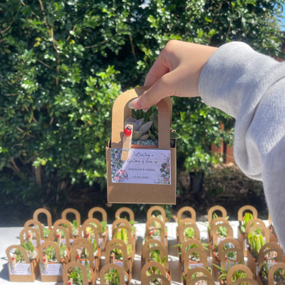 Succulent Wedding Favours, 7cm Terracotta Pot, Kraft Gift Box, Custom Tags, Local Pickup