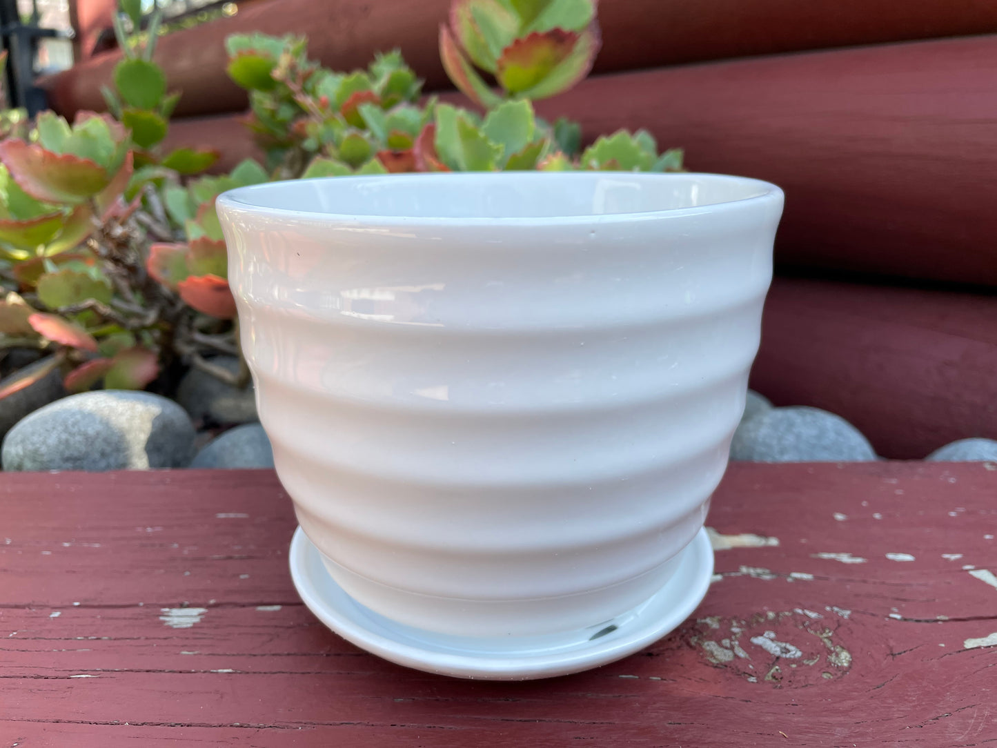 4x White ceramic glazed round pots