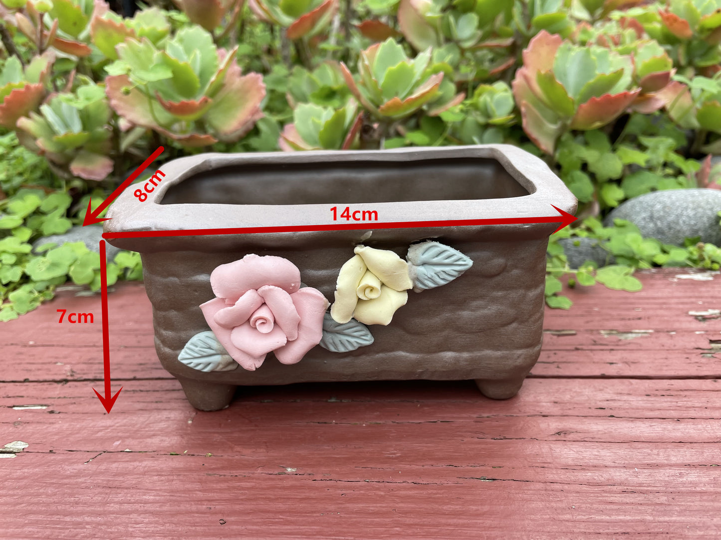 Christmas gift ideas succulent arrangement only local pick up from Gymea NSW 2227