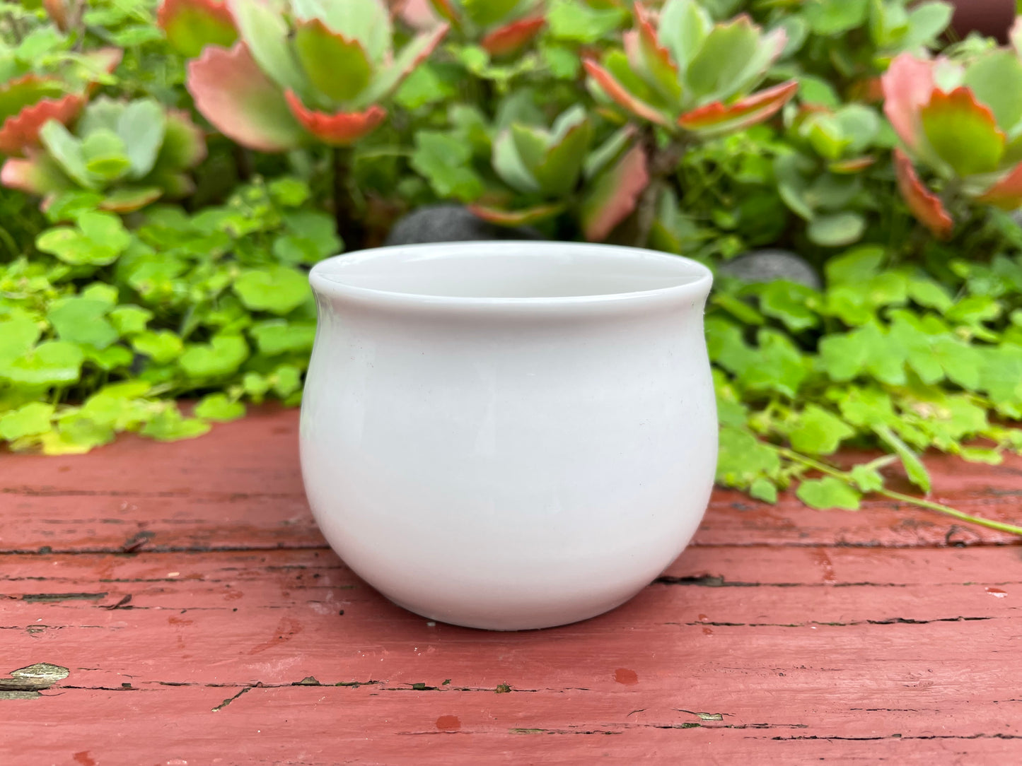 3x White Ceramic pots succulent cactus small plant planter mini size