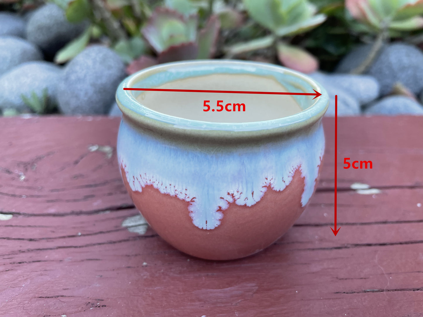 Succulent Favours: colourful ceramic glazed pot. Only local pickup no delivery