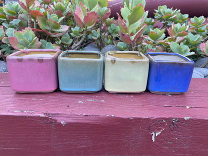 Set of 4 Glazed Ceramic Succulent Cactus Planters Square with four Colours - Perfect Home Office Gift