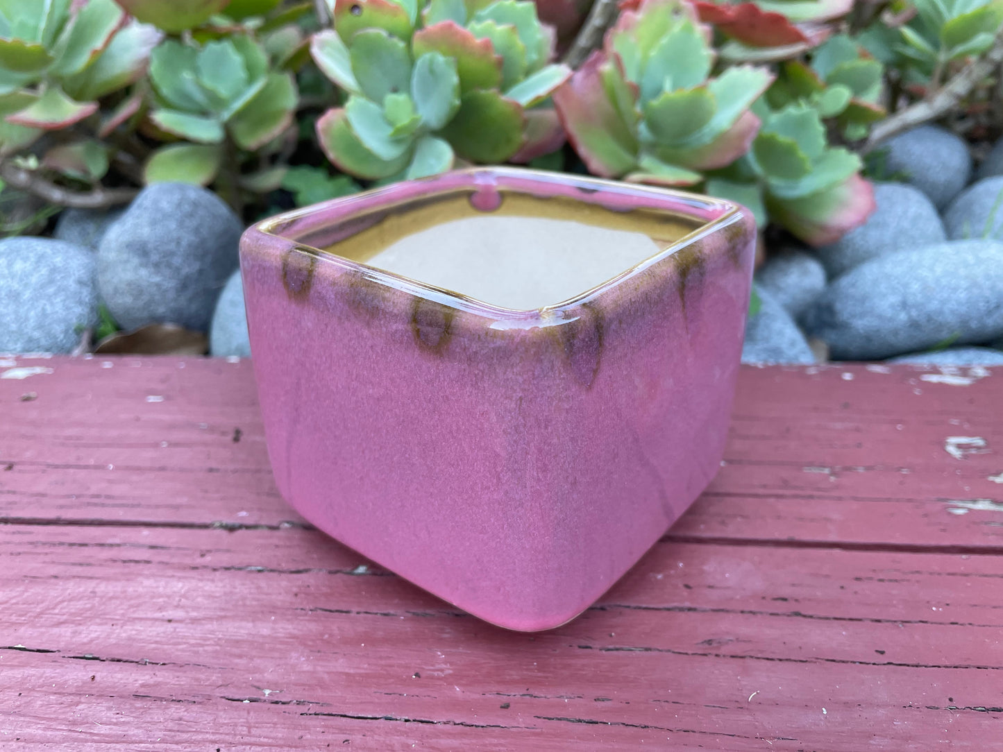 Set of 4 Glazed Ceramic Succulent Cactus Planters Square with four Colours - Perfect Home Office Gift