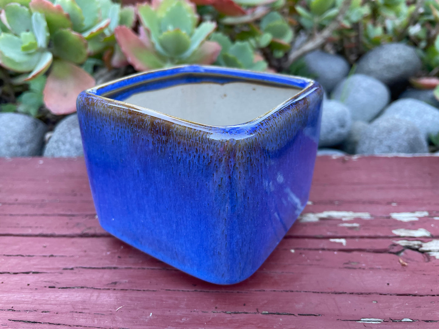 Set of 4 Glazed Ceramic Succulent Cactus Planters Square with four Colours - Perfect Home Office Gift