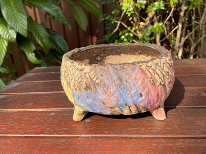 Large Succulent Clay Pot Retro