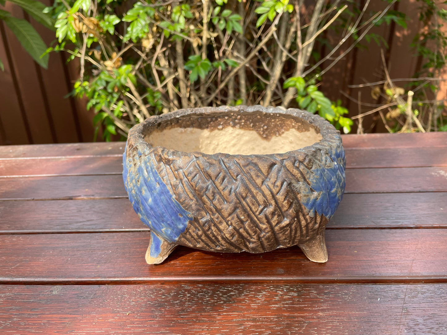 Large Succulent Clay Pot Retro