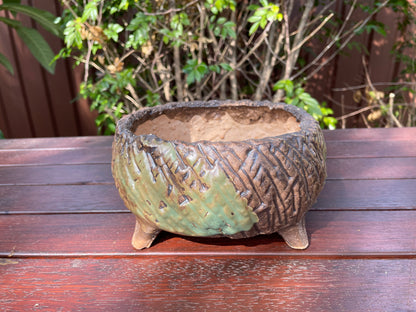 Large Succulent Clay Pot Retro