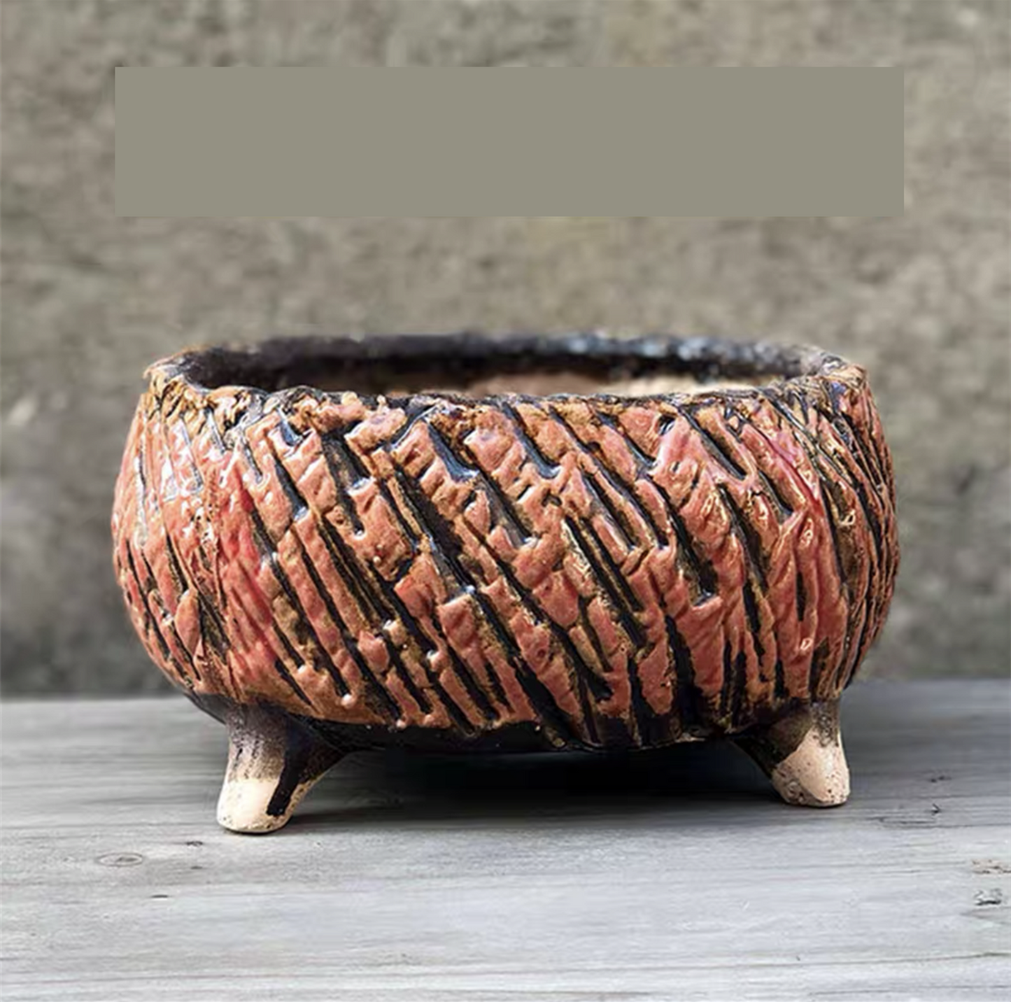 Large Succulent Clay Pot Retro