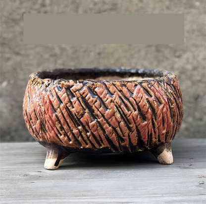 Large Succulent Clay Pot Retro